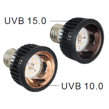 LED PAR20